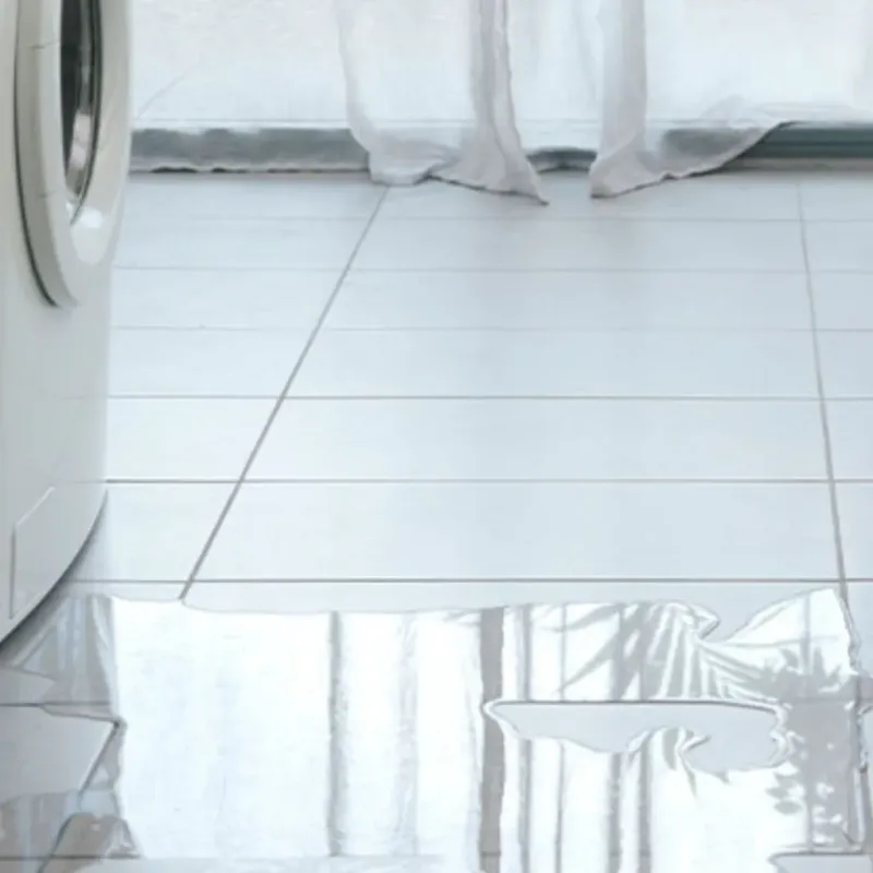 Appliance Leak Cleanup in Zilwaukee, MI