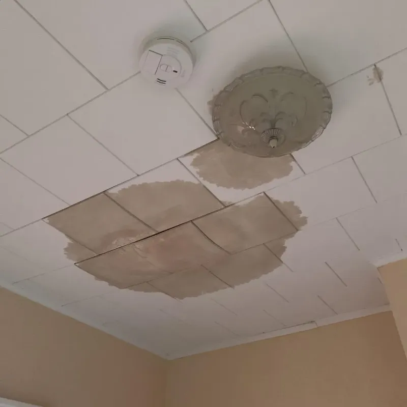 Ceiling Water Damage Repair in Zilwaukee, MI