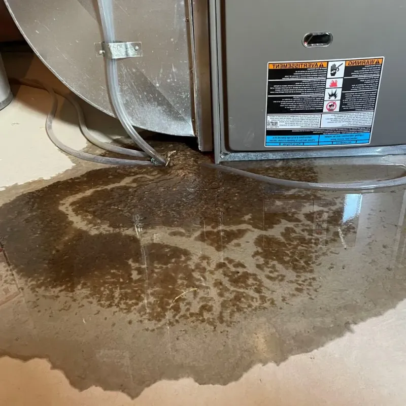 Pipe Burst and Leak Restoration in Zilwaukee, MI
