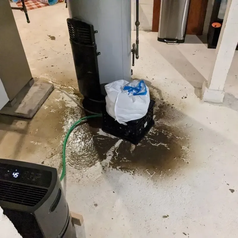Sewage Backup Cleanup Service in Zilwaukee, MI